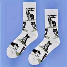 Load image into Gallery viewer, Socks - Border Collie full body
