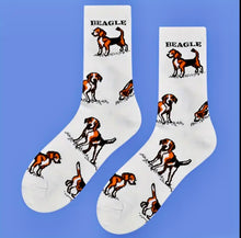 Load image into Gallery viewer, Socks - Beagle full body
