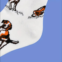 Load image into Gallery viewer, Socks - Beagle full body
